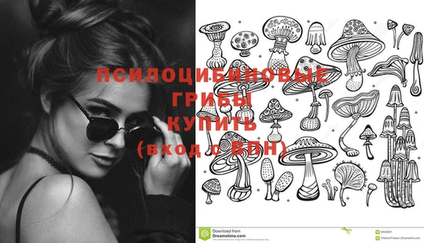 индика Алзамай