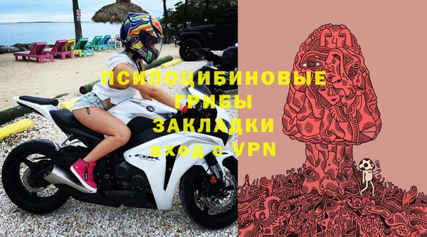 индика Алзамай