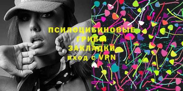 индика Алзамай