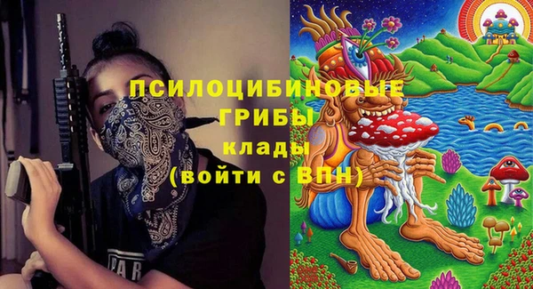 индика Алзамай