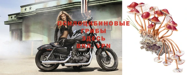 трава Алексеевка